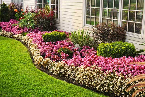 Fall Cleanup Services in Clinton Village, MI